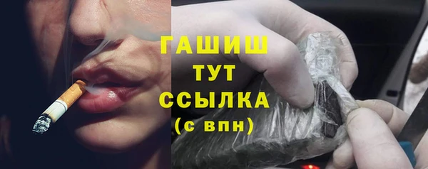 гидра Алексеевка