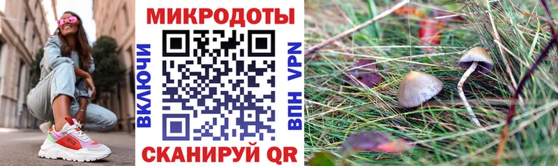 Галлюциногенные грибы мицелий где купить Хадыженск